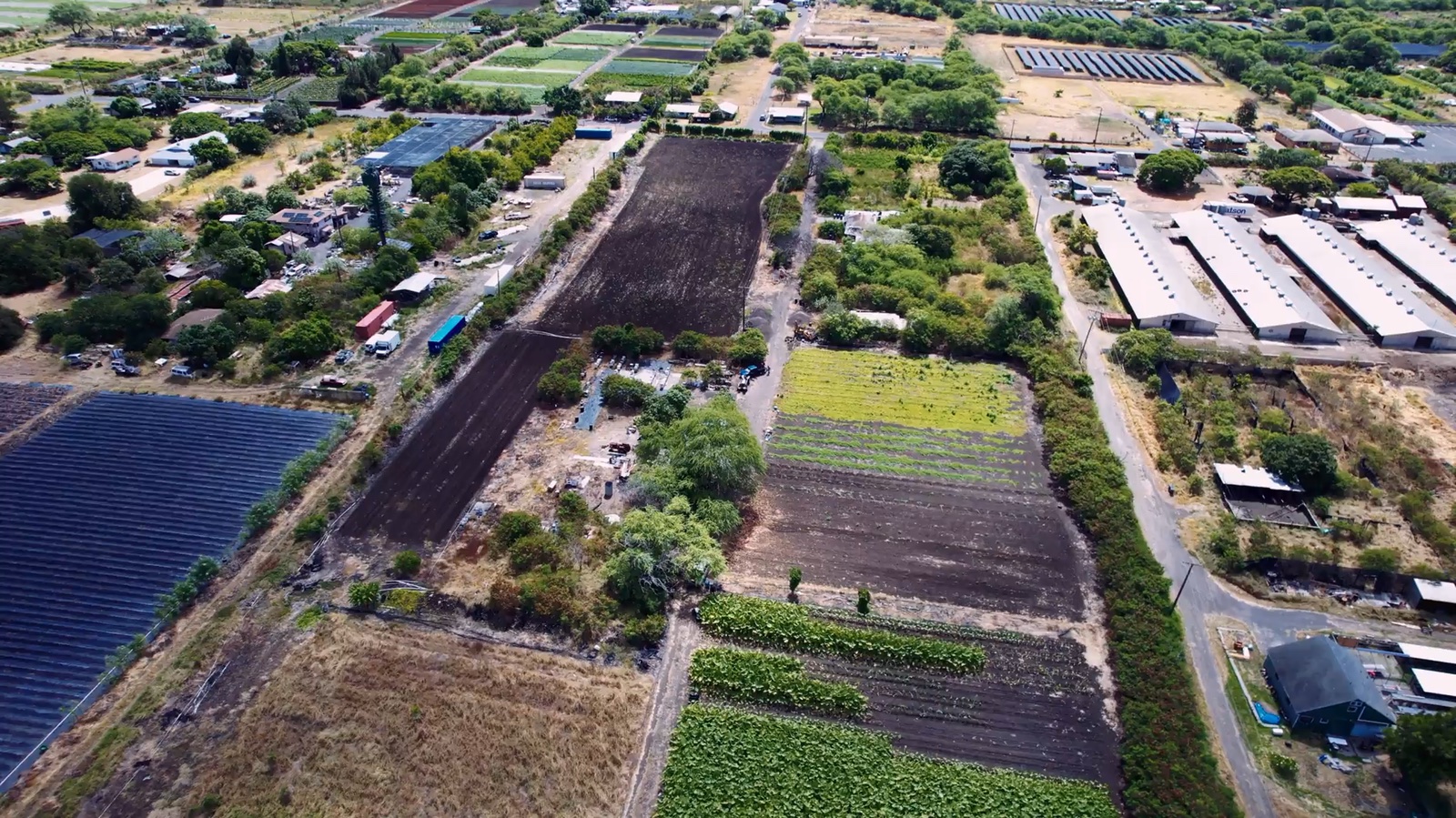Farm tour — what living country-side on Oʻahu is really like